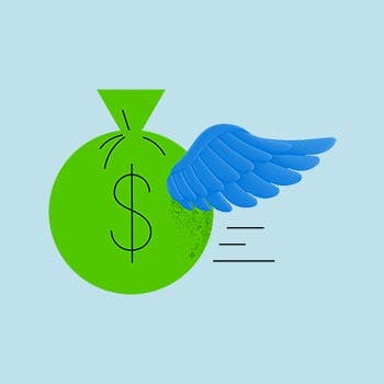 Money bag with wings icon